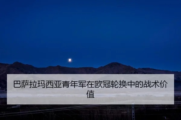 ba-sa-la-ma-xi-ya-qing-nian-jun-zai-ou-guan-lun-huan-zhong-de-zhan-shu-jia-zhi-3-289.jpg