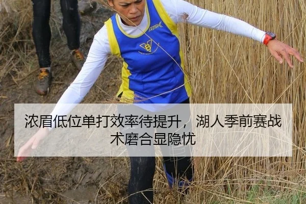 浓眉低位单打效率待提升，湖人季前赛战术磨合显隐忧
